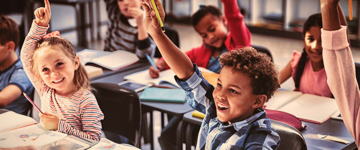 Home-5, 186 Property Solutions